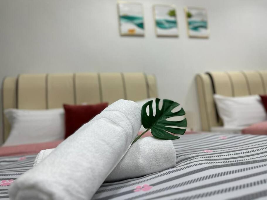 Ceo2 Soho Business Suite#Disneys Hs#Usm #Pisa#Airport#Pantai Hospital Bayan Lepas Exterior foto